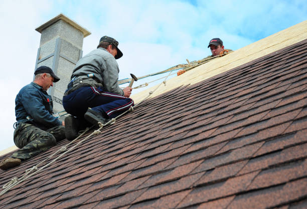 Best Roof Maintenance Services  in Harrodsburg, KY